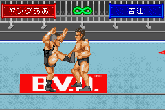 Shin Nihon Pro Wrestling - Toukon Retsuden Advance (Japan) Cover